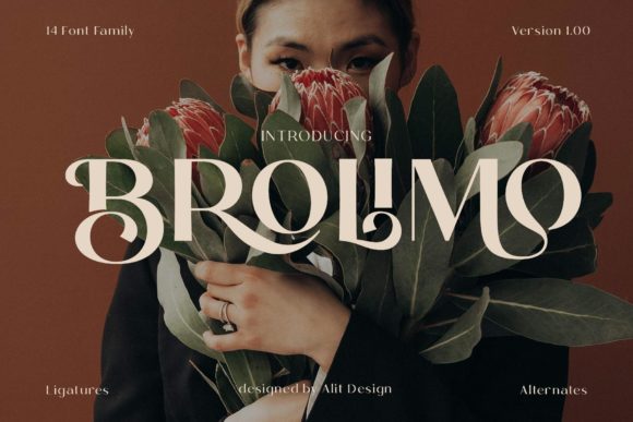 Brolimo: Elegant Display Font for Modern Design